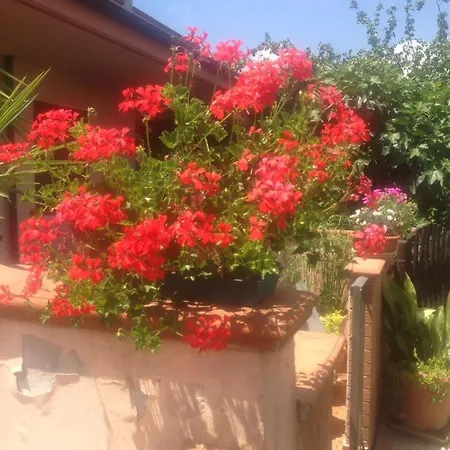 Casa Il Chicco D'uva アパート *
