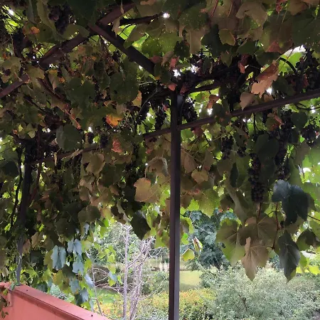 Casa Il Chicco D'uva