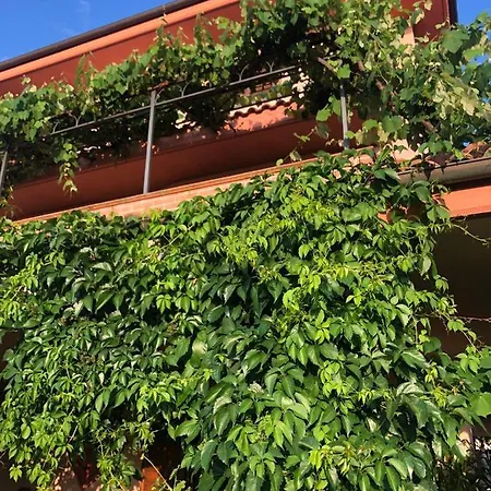 Casa Il Chicco D'uva *